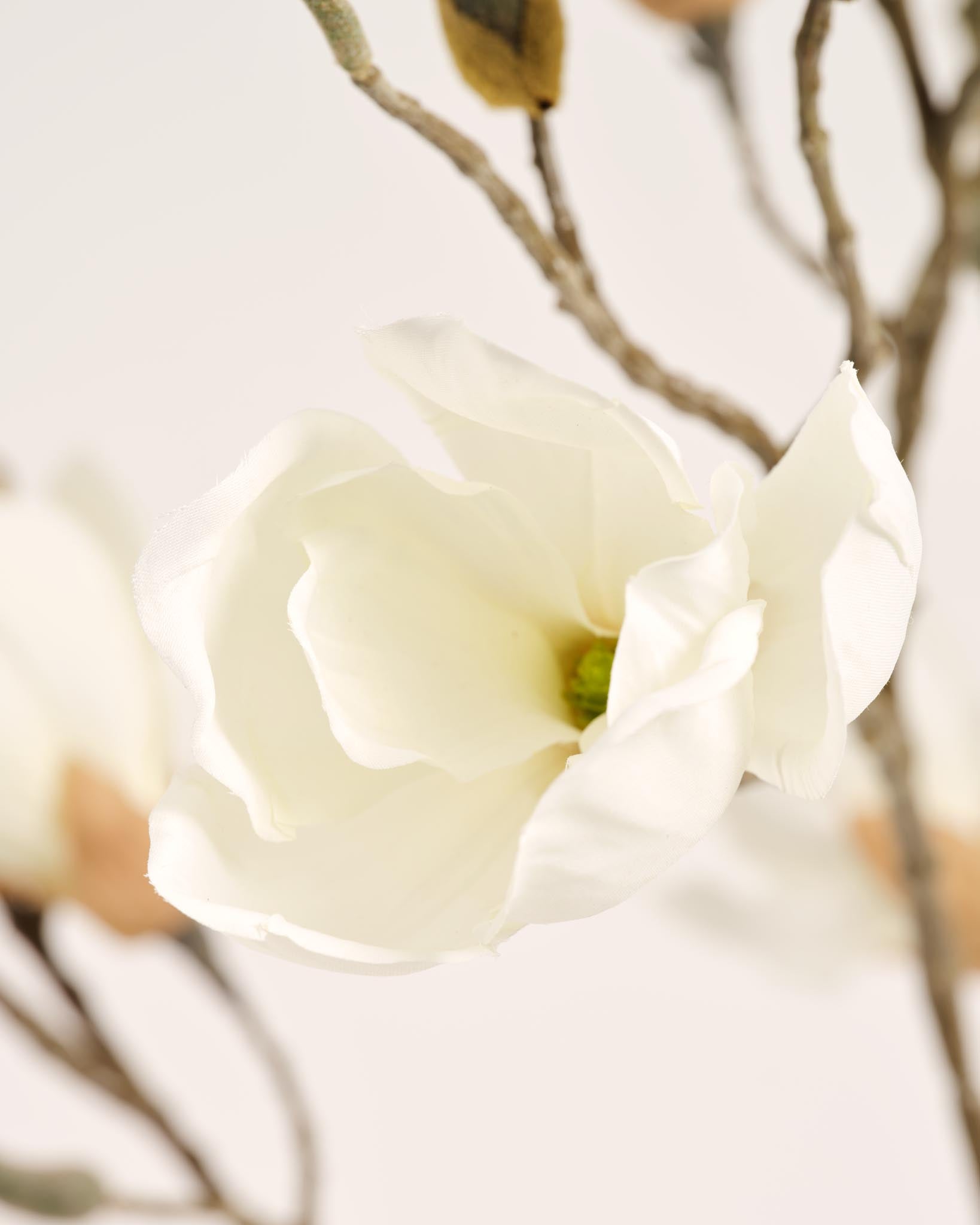 Seidenes Magnolien-Bouquet | Good MC.37