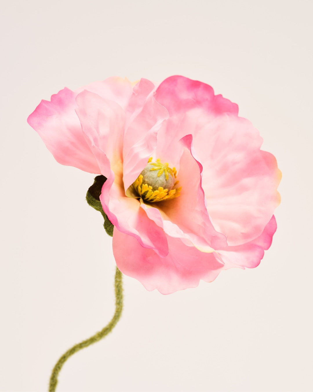 Seidenblume | Good PP.01